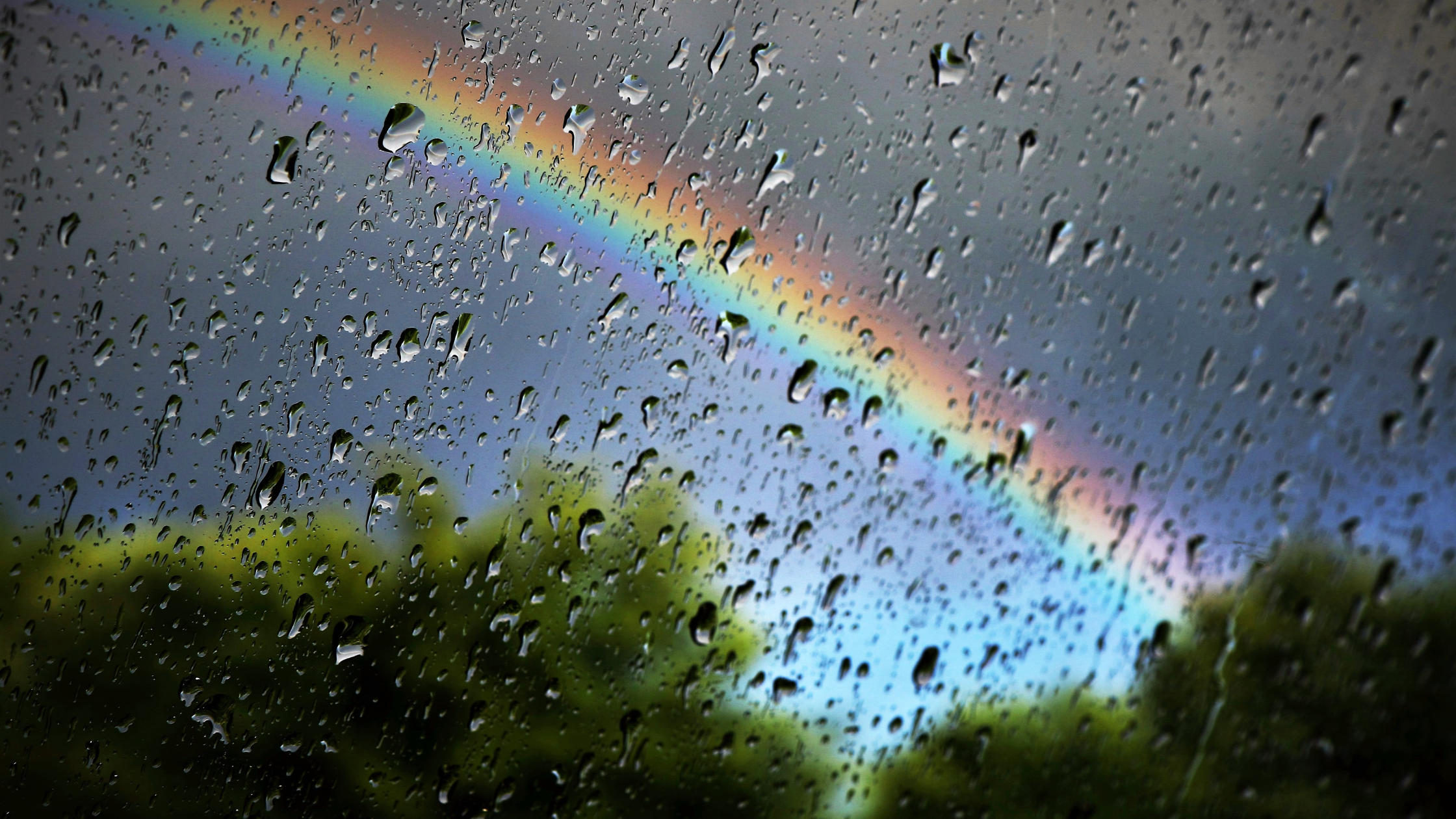 Rain
