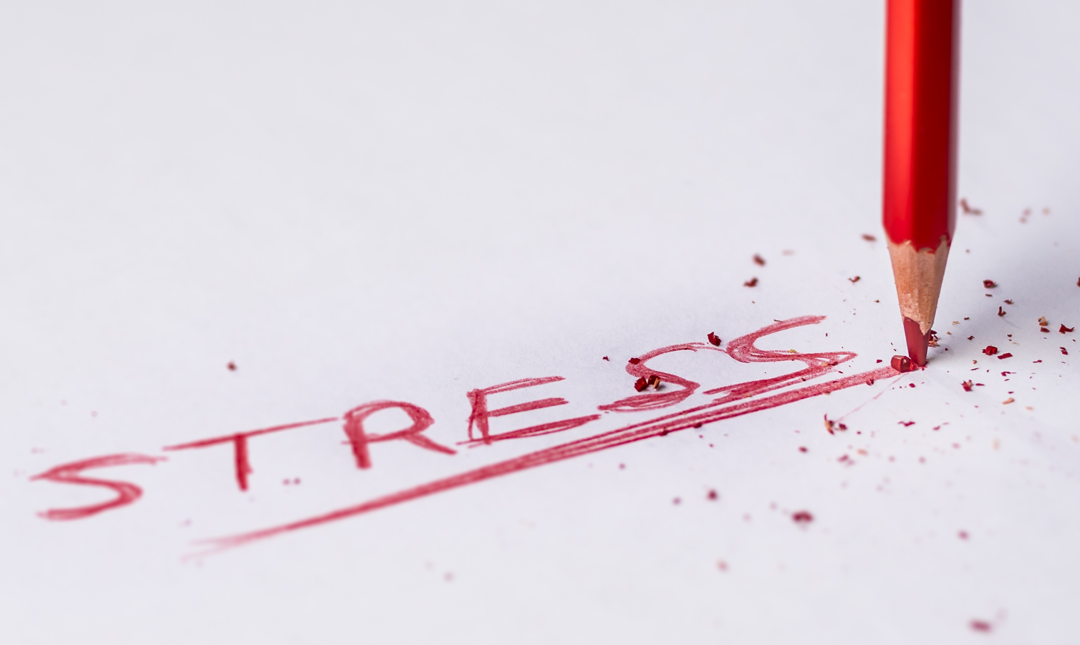 Why Everyone Needs an Outlet for Life’s Pressures