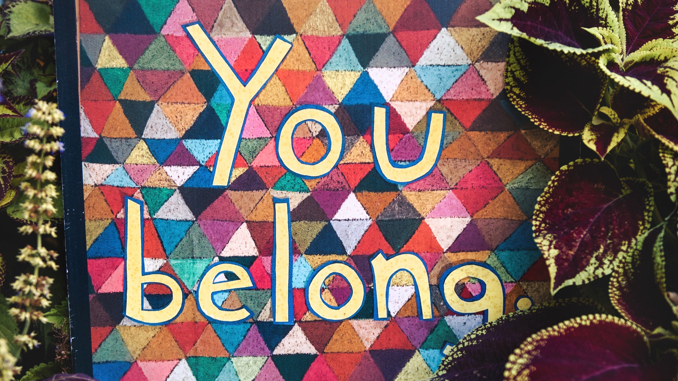 From Longing to Belonging: Creating the Family I Always Wanted