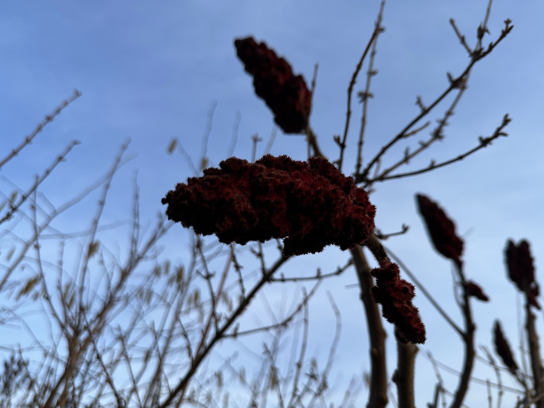 The Weight of Yesterday