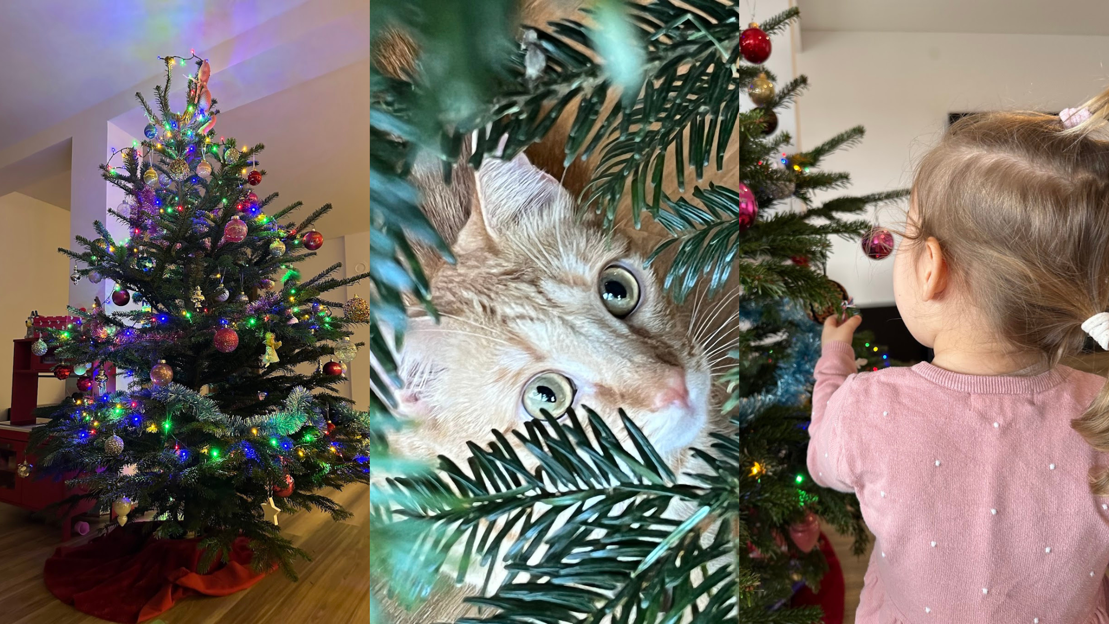 What Happens When You Stop Pleasing Everyone for the Holidays