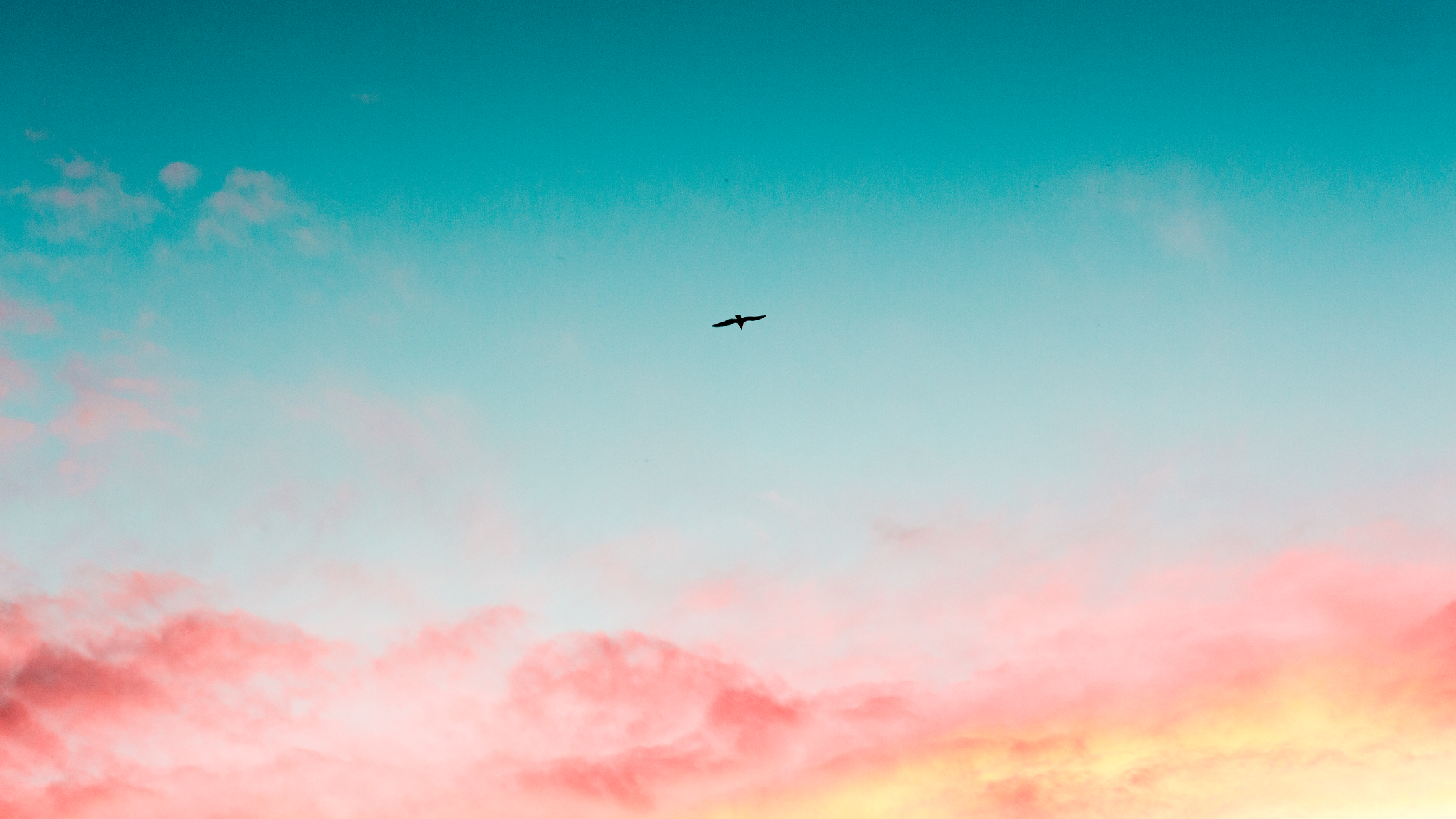 The Balkan Woman’s Guide to Staying Positive in a Ridiculous World